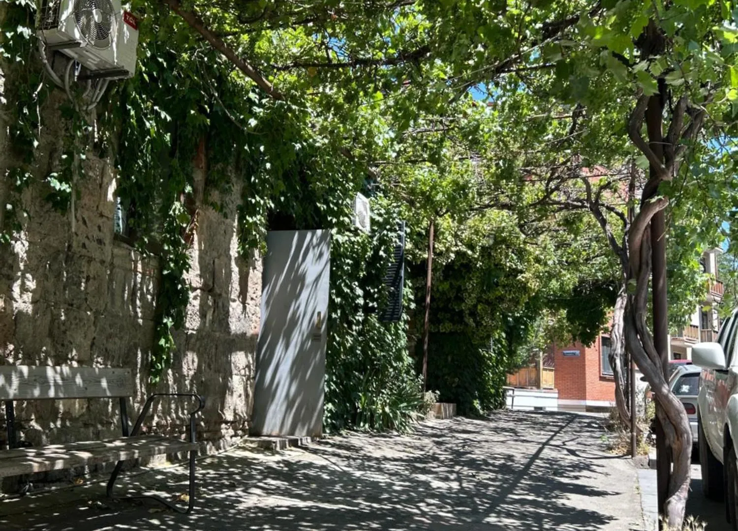 Old Grape Inn Tbilisi