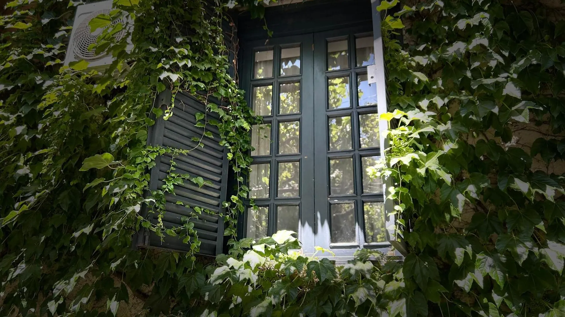 Old Grape Inn Tbilisi Georgia